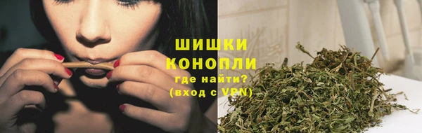 хмурый Лагань