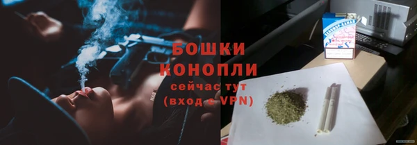 стаф Ладушкин