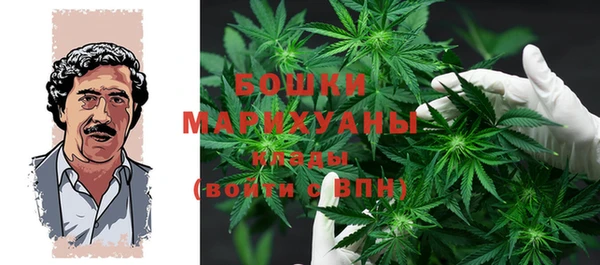хмурый Лагань