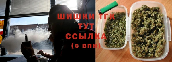 стаф Ладушкин