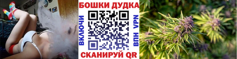 как найти   Невельск  Конопля гибрид 